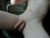 ♂️ nikuba Free Cam @ Chaturbate