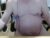 ♂️ nipchub Free Cam @ Chaturbate
