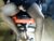 ⚧️ nylondream999 Free Cam @ Chaturbate