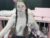 ♀️ nyxiannox Free Cam @ Chaturbate