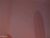 ♀️ ocicat Free Cam @ Chaturbate
