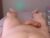 ♂️ octavarium211 Free Cam @ Chaturbate
