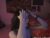 ♀️ okily_dokily Free Cam @ Chaturbate