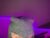 ♂️ oniwaka333 Free Cam @ Chaturbate