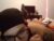 ♂️ only1senpai Free Cam @ Chaturbate