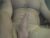 ♂️ onlylooking4 Free Cam @ Chaturbate