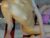 ♀️ onnelle Free Cam @ Chaturbate