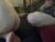 ♂️ pantslesstraveler_plt Free Cam @ Chaturbate