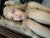 ⚧️ passion_de_amor18 Free Cam @ Chaturbate