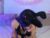 ♀️ pauline_golden1 Free Cam @ Chaturbate
