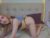 ♀️ pinkadele Free Cam @ Chaturbate