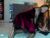 ⚧️ pixy_20 Free Cam @ Chaturbate