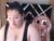 ♀️ pleasure_light_v Free Cam @ Chaturbate