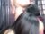 ♀️♂️ poca__hontas Free Cam @ Chaturbate