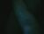 ♂️ pokertazzdevilx2 Free Cam @ Chaturbate
