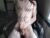 ♂️ porcelain_tears01 Free Cam @ Chaturbate