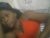 ♀️ pretty_abella Free Cam @ Chaturbate