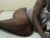 ♀️ princess_cutie Free Cam @ Chaturbate