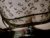 ♂️ purplefoxxx Free Cam @ Chaturbate