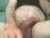 ♂️ puslicker4 Free Cam @ Chaturbate