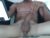 ♂️ pussyhunterpt Free Cam @ Chaturbate