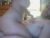 ♀️ rachelrose04 Free Cam @ Chaturbate