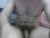 ♂️ rand8080 Free Cam @ Chaturbate