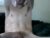 ♂️ redlighter26 Free Cam @ Chaturbate