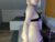 ♀️ rinasnake Free Cam @ Chaturbate
