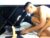 ♂️ riven_storm Free Cam @ Chaturbate