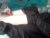 ♂️ roddy69er Free Cam @ Chaturbate