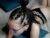♀️ rowenahaines Free Cam @ Chaturbate