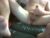 ♂️ runningbm Free Cam @ Chaturbate