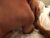 ♀️♂️ rushmimi Free Cam @ Chaturbate