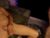♀️♂️ samara_and_eithan Free Cam @ Chaturbate