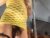 ⚧️ sandrasaa Free Cam @ Chaturbate