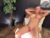 ♀️ sara_cane Free Cam @ Chaturbate