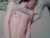 ♀️♂️ sashaandkonrad Free Cam @ Chaturbate