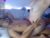 ♀️♂️ secretheat Free Cam @ Chaturbate