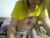 ♀️ sellena_denise Free Cam @ Chaturbate