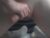 ♂️ septopt Free Cam @ Chaturbate