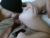 ♂️ serafino94 Free Cam @ Chaturbate