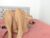 ♀️♂️ sexxylatincouple1 Free Cam @ Chaturbate