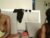 ♀️ sexy_bree25 Free Cam @ Chaturbate