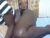♀️ sexy_candy9 Free Cam @ Chaturbate