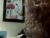 ♀️♂️ shalldoit409 Free Cam @ Chaturbate