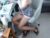 ⚧️ shelaacd Free Cam @ Chaturbate