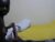 ♀️ skylar254 Free Cam @ Chaturbate