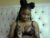 ♀️ slayslay002 Free Cam @ Chaturbate