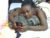 ♀️ slim_joy Free Cam @ Chaturbate